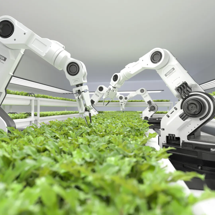 Hvite robotarmer som arbeider med grønne planter i automatisert landbrukssystem - bærekraftig automatisering